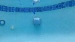 Dolphin Active 15 Robotic Pool Cleaner Demo Model