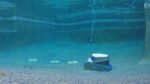 Dolphin S200 Robotic Pool Cleaner Certified Refurbished