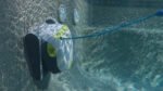 Dolphin T35 Robotic Pool Cleaner Certified Refurbished