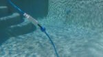 Dolphin W20 Robotic Pool Cleaner Certified Refurbished